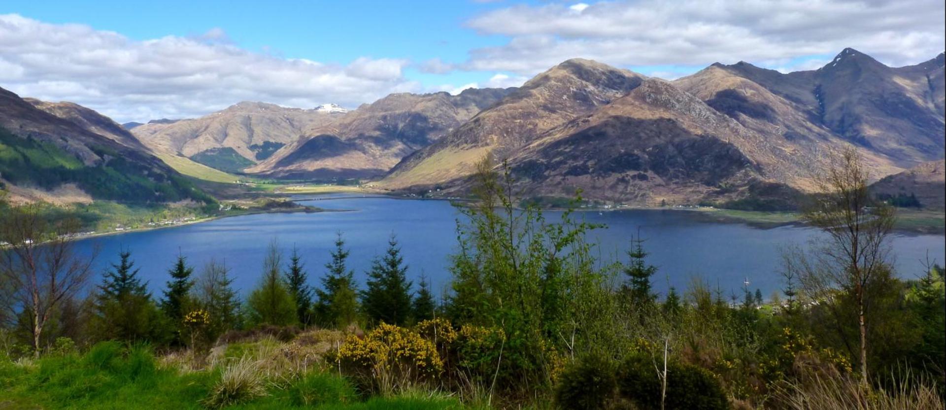 The Annex in Glenelg