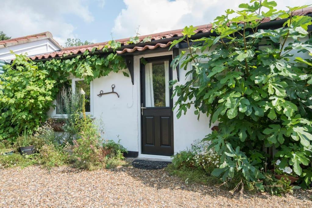 Cobweb Cottage Studios