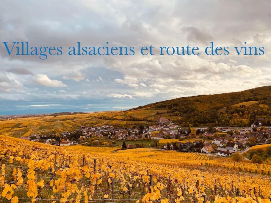 NEW L'industr'ILL au cœur De l'Alsace