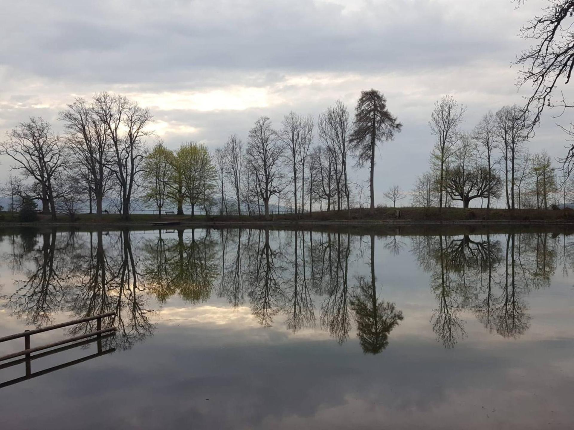 Nice apartment with sun terrace