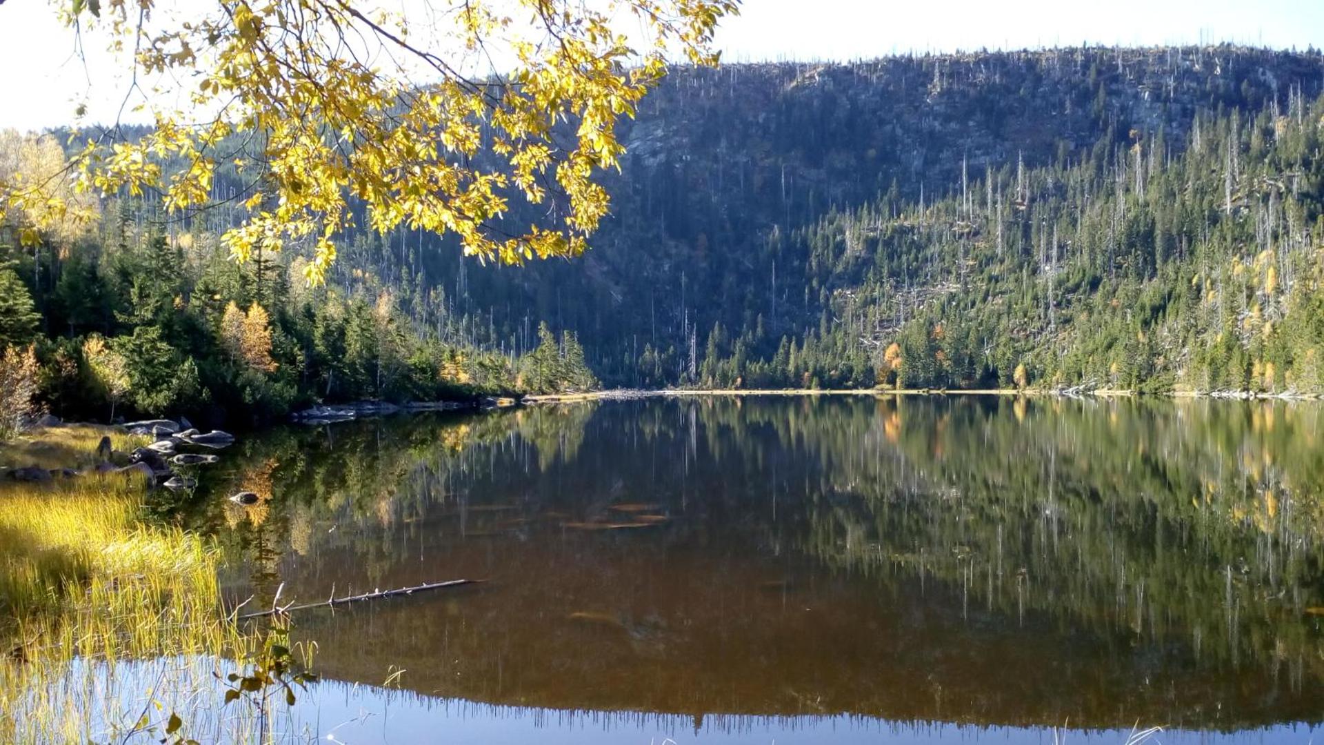 Apartmán PECKA - Nová Pec