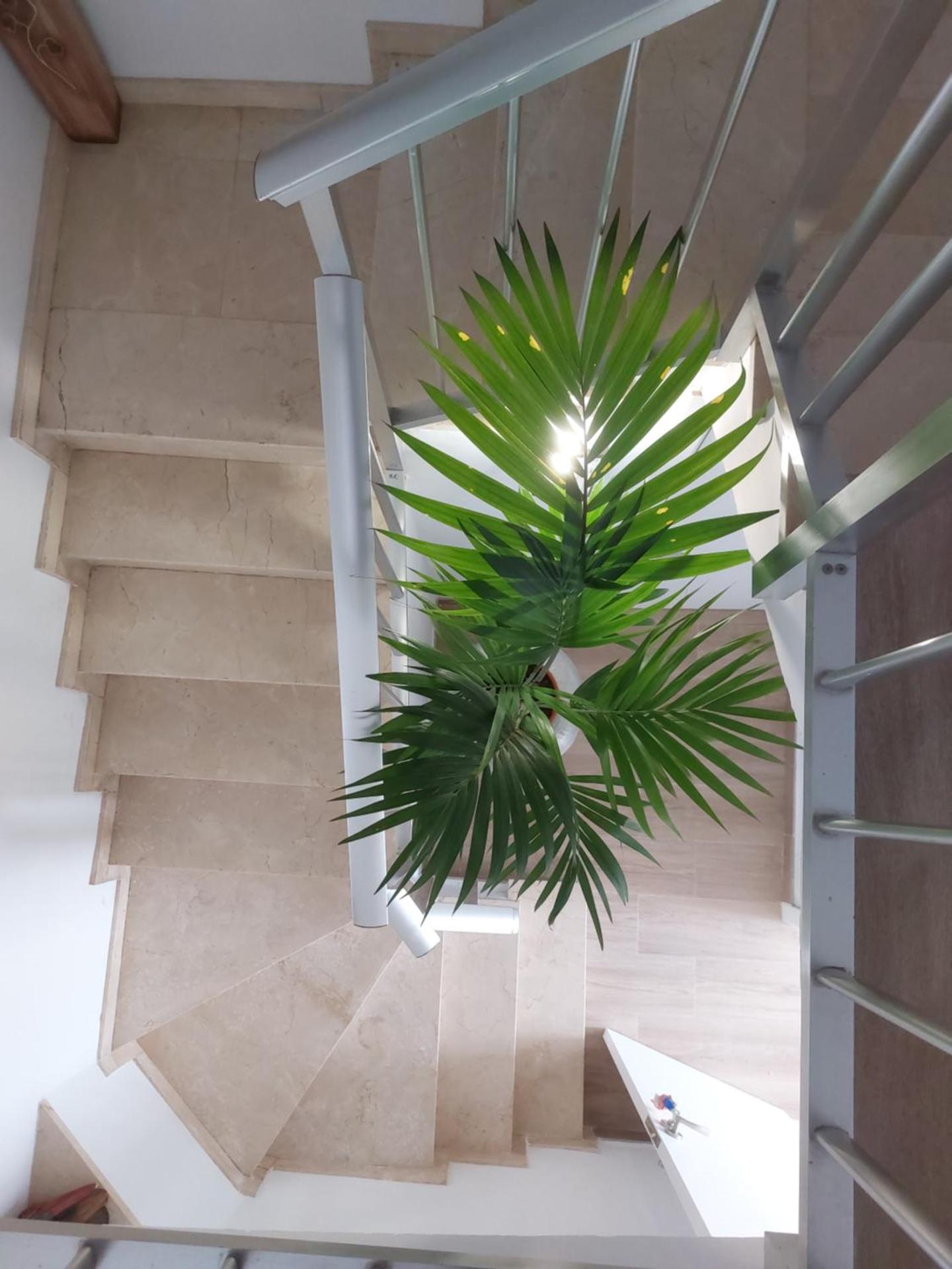 Apartamento Junto Al Mar