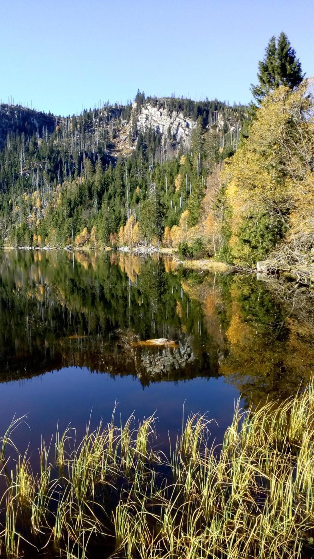 Apartmán PECKA - Nová Pec