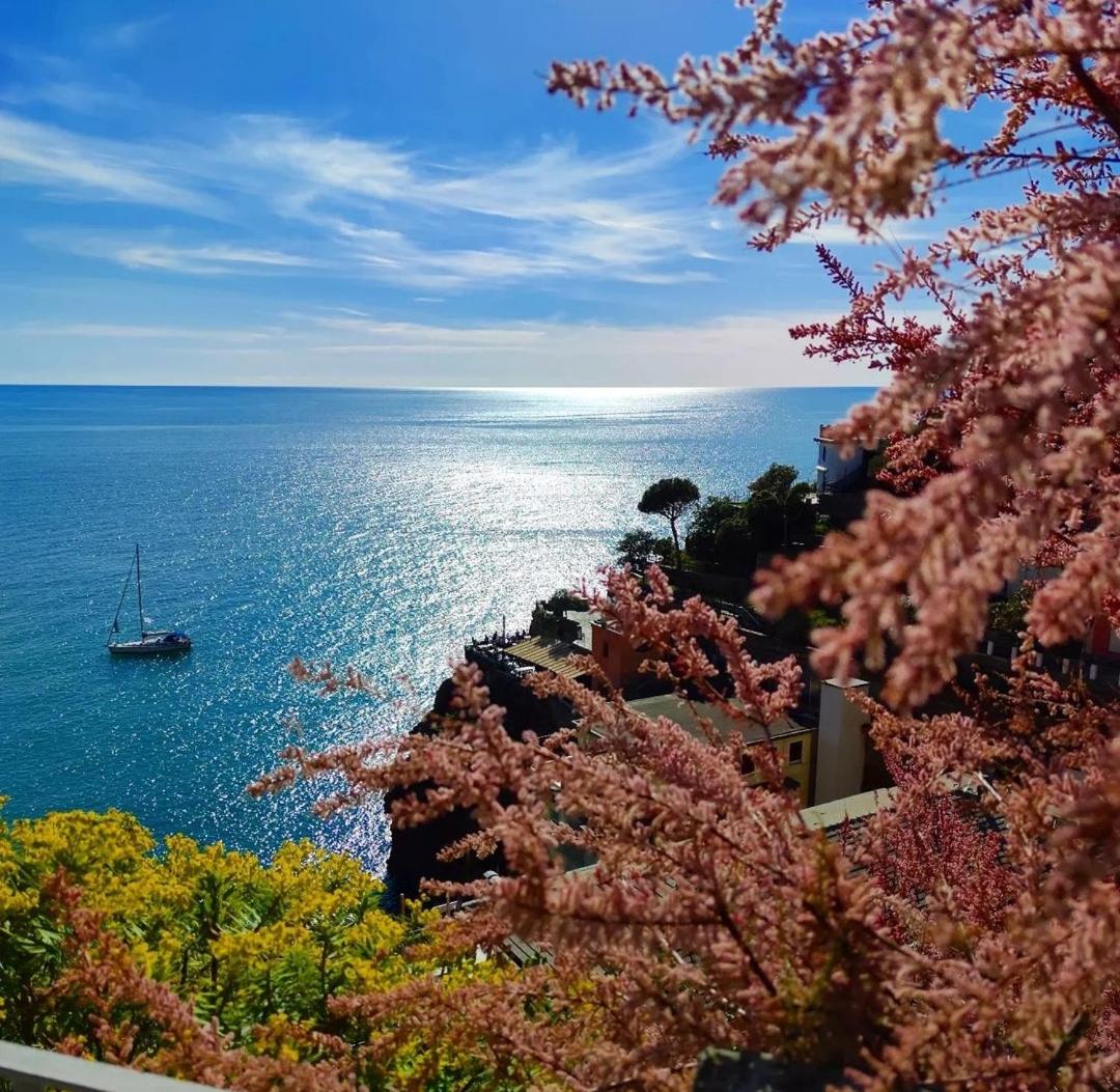 Maison Exotique - Riomaggiore / Cinque Terre / Beach Travel