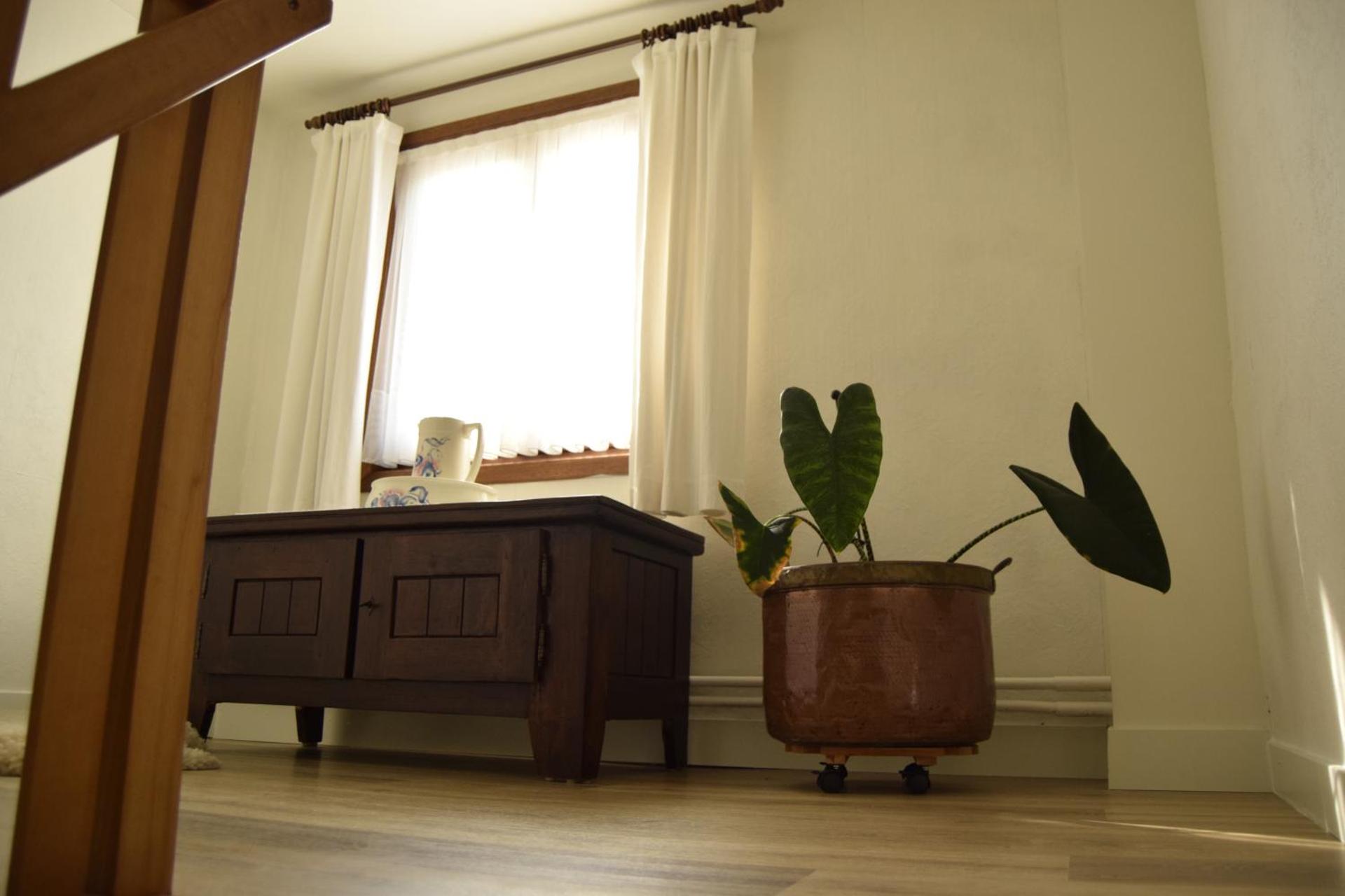 Vakantiewoning Wurfeldermolen