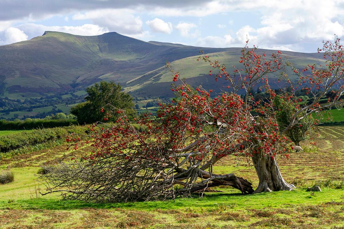 Picturesque 2 Bedroom Miners Cottage Near Bike Park Wales & Brecon Beacons