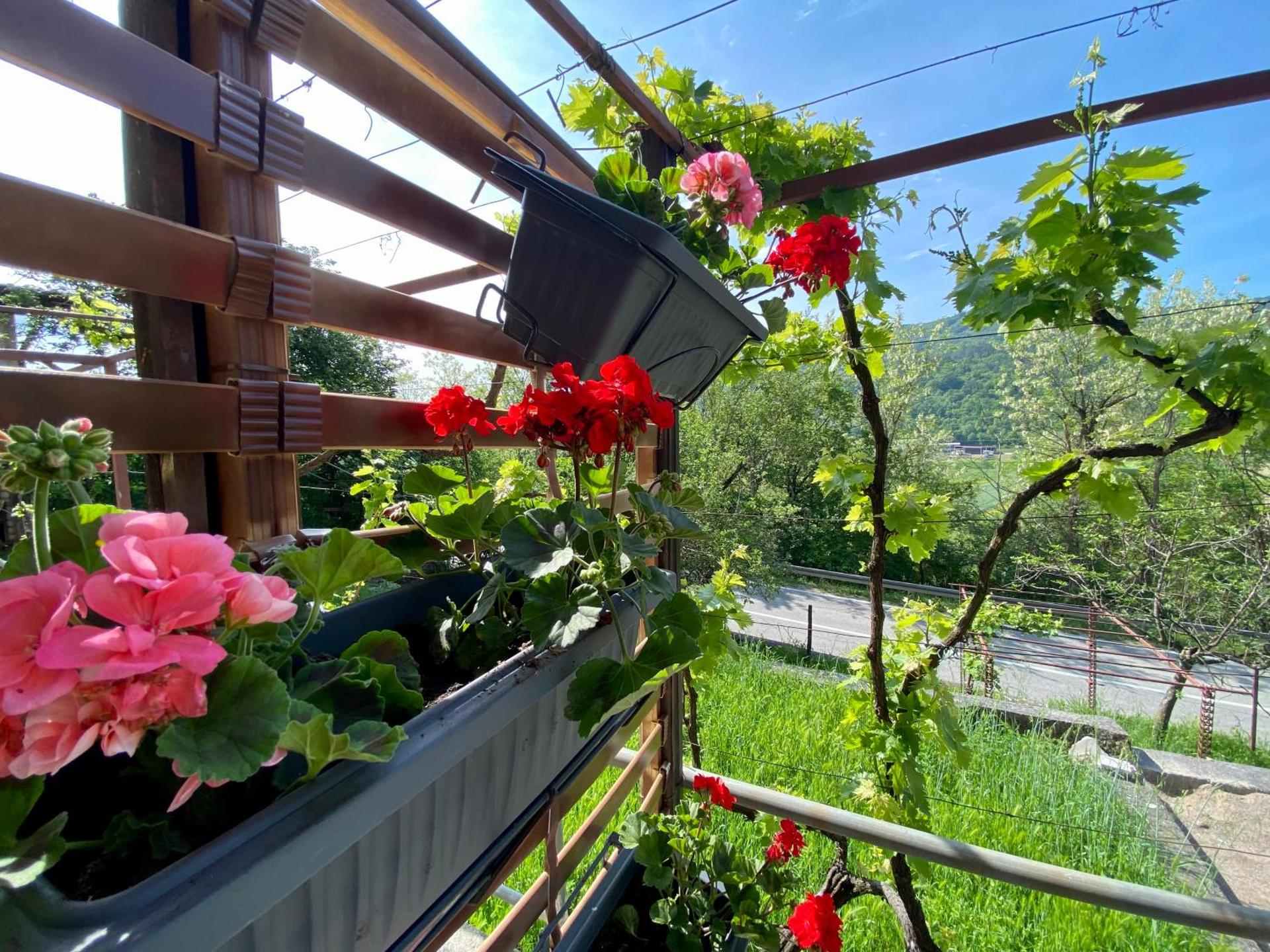 Apartman Verona Buzet