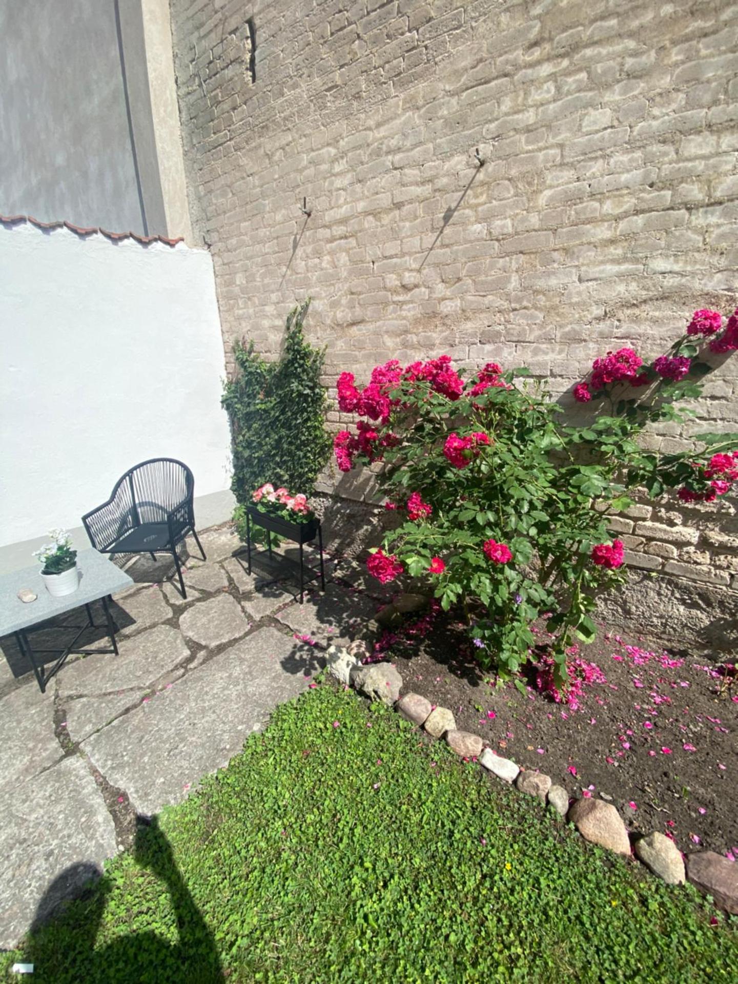 Apartment with Balcony - Annex