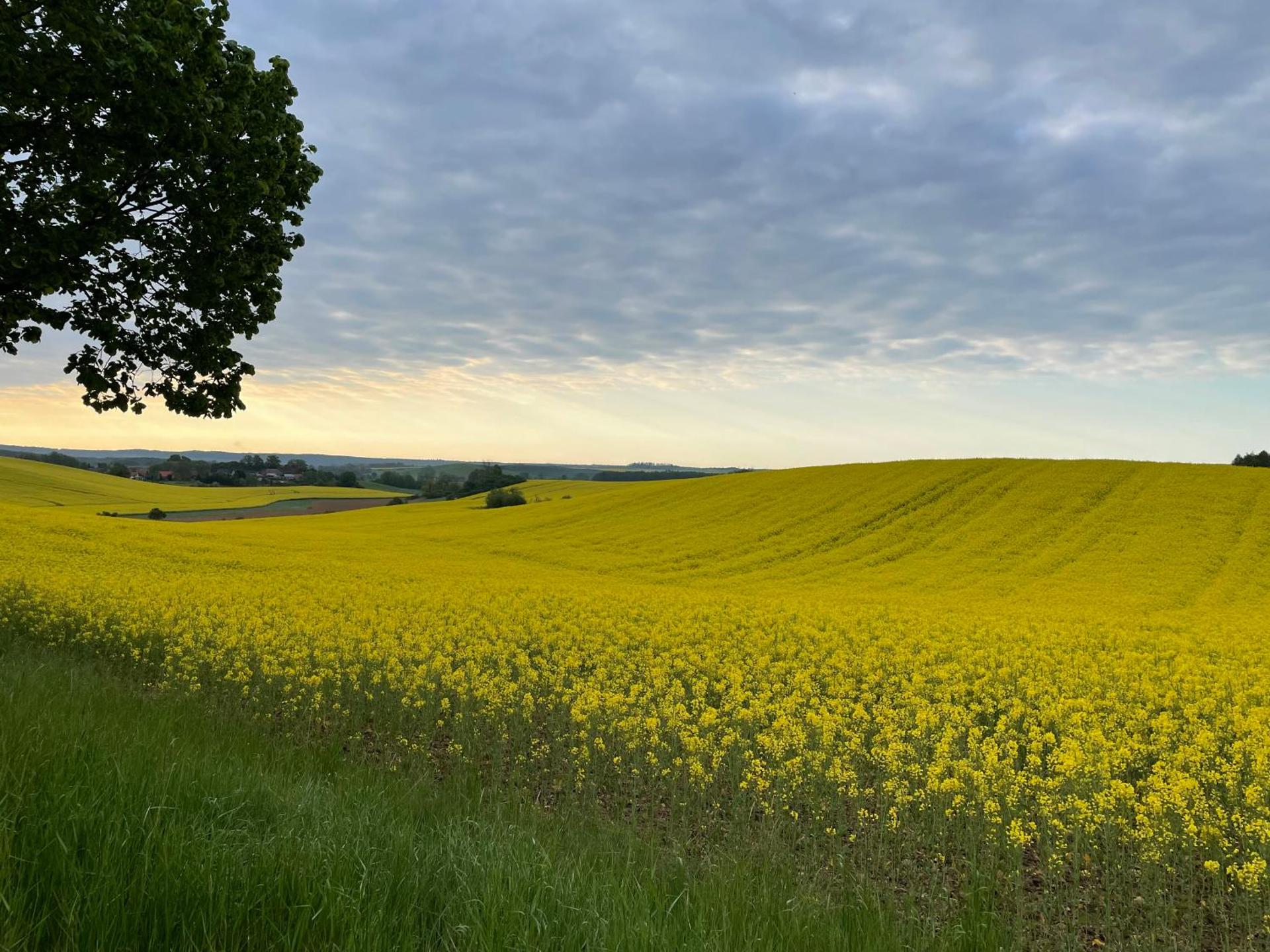 Ferienhaus Gerswalde