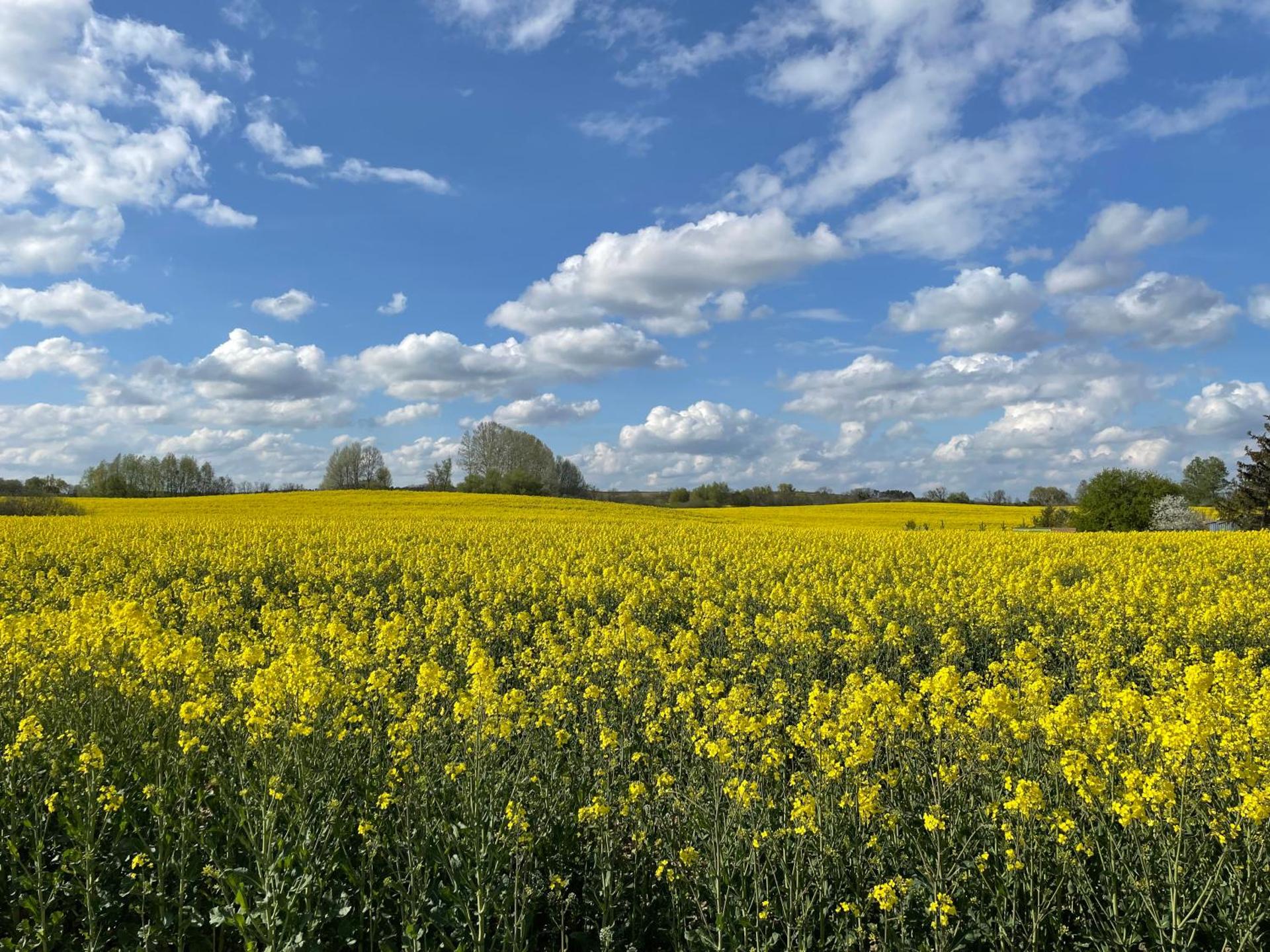 Ferienhaus Gerswalde