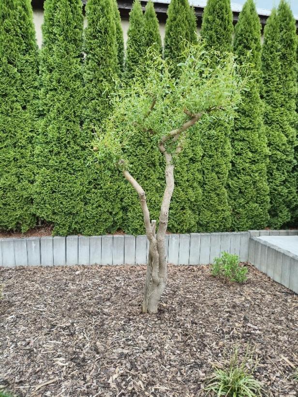 Ubytování U Vrbičky - blízko Prahy