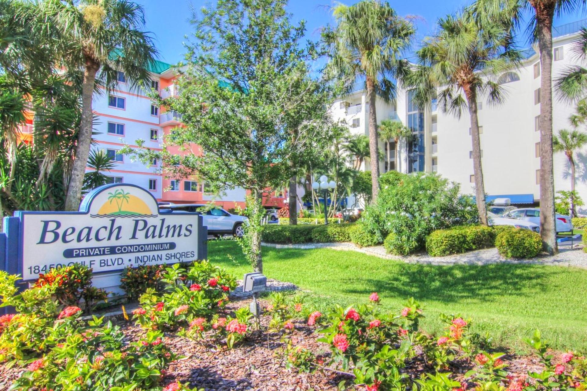 Beach Palms 406