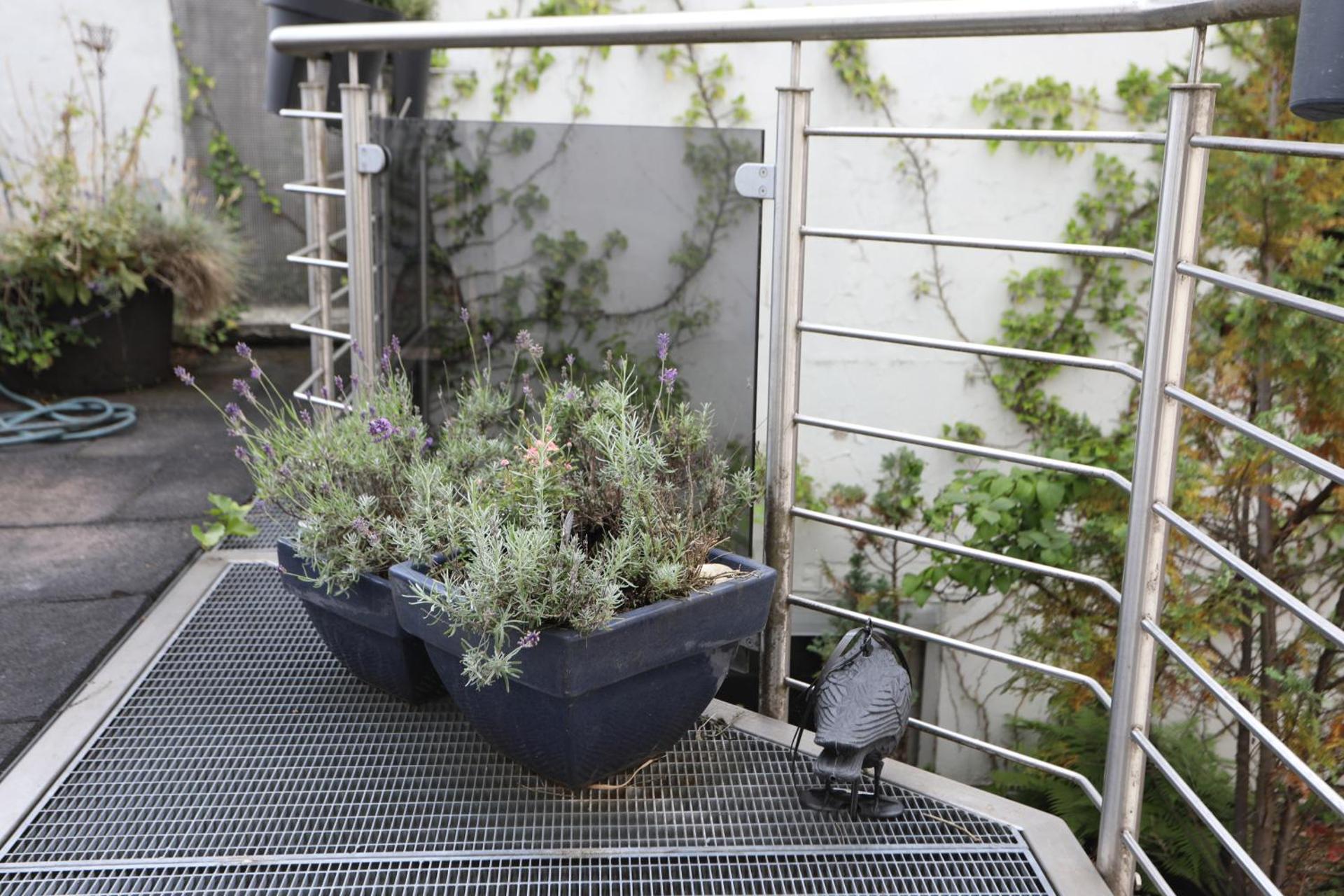 Gästewohnung Lipperland