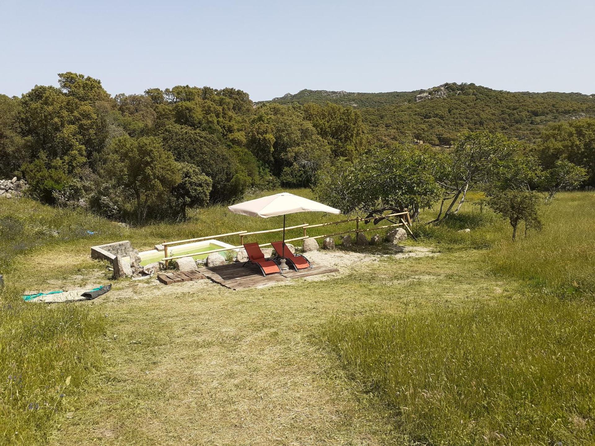 Eco Lodge nella natura Con Piscina privata "La Grande Quercia"