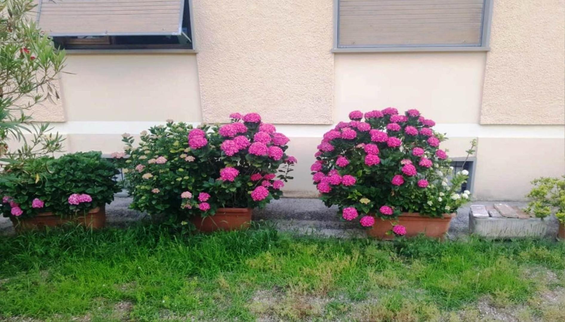 Il Panorama di Trevi