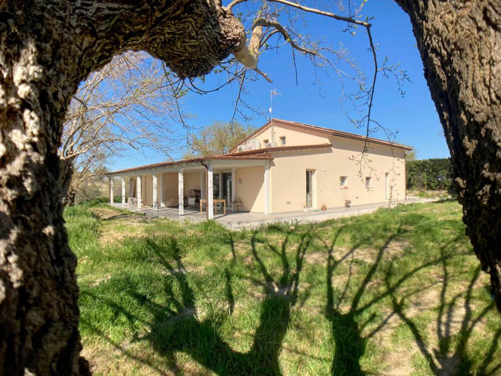 Agriturismo - Apis in tabula