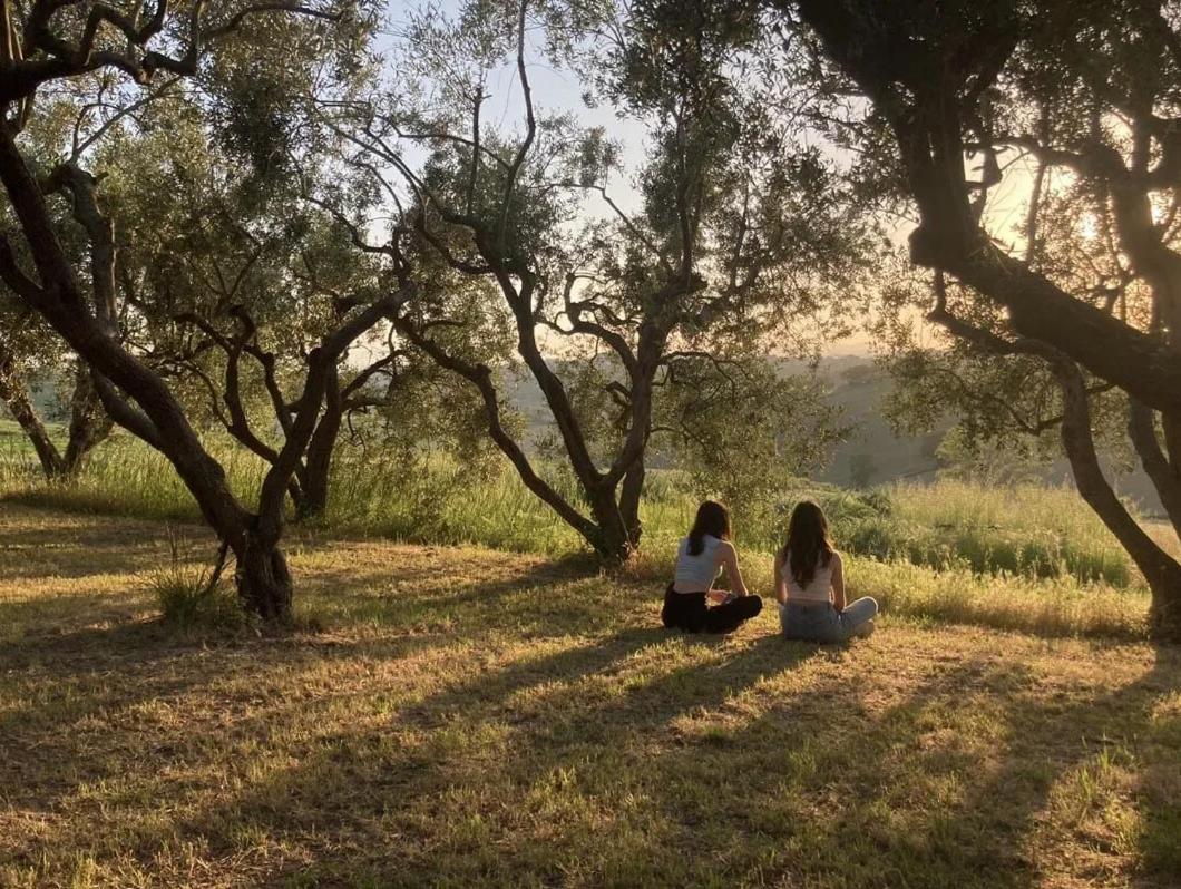 Agriturismo - Apis in tabula