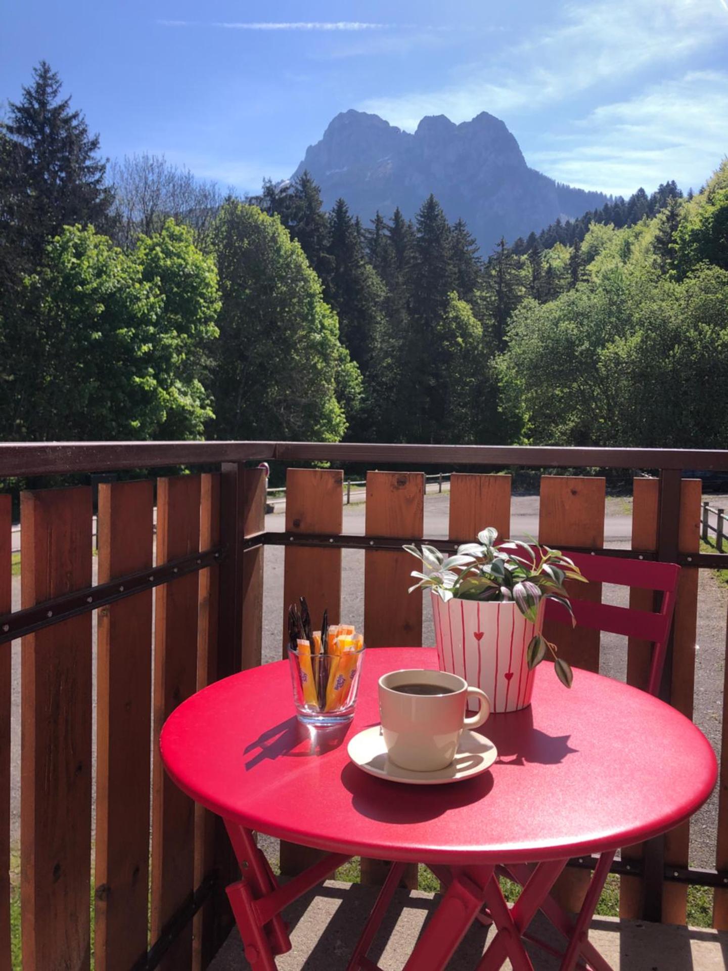 Studio Fondue chocolat, 100m des pistes Wifi fibre, parking privé