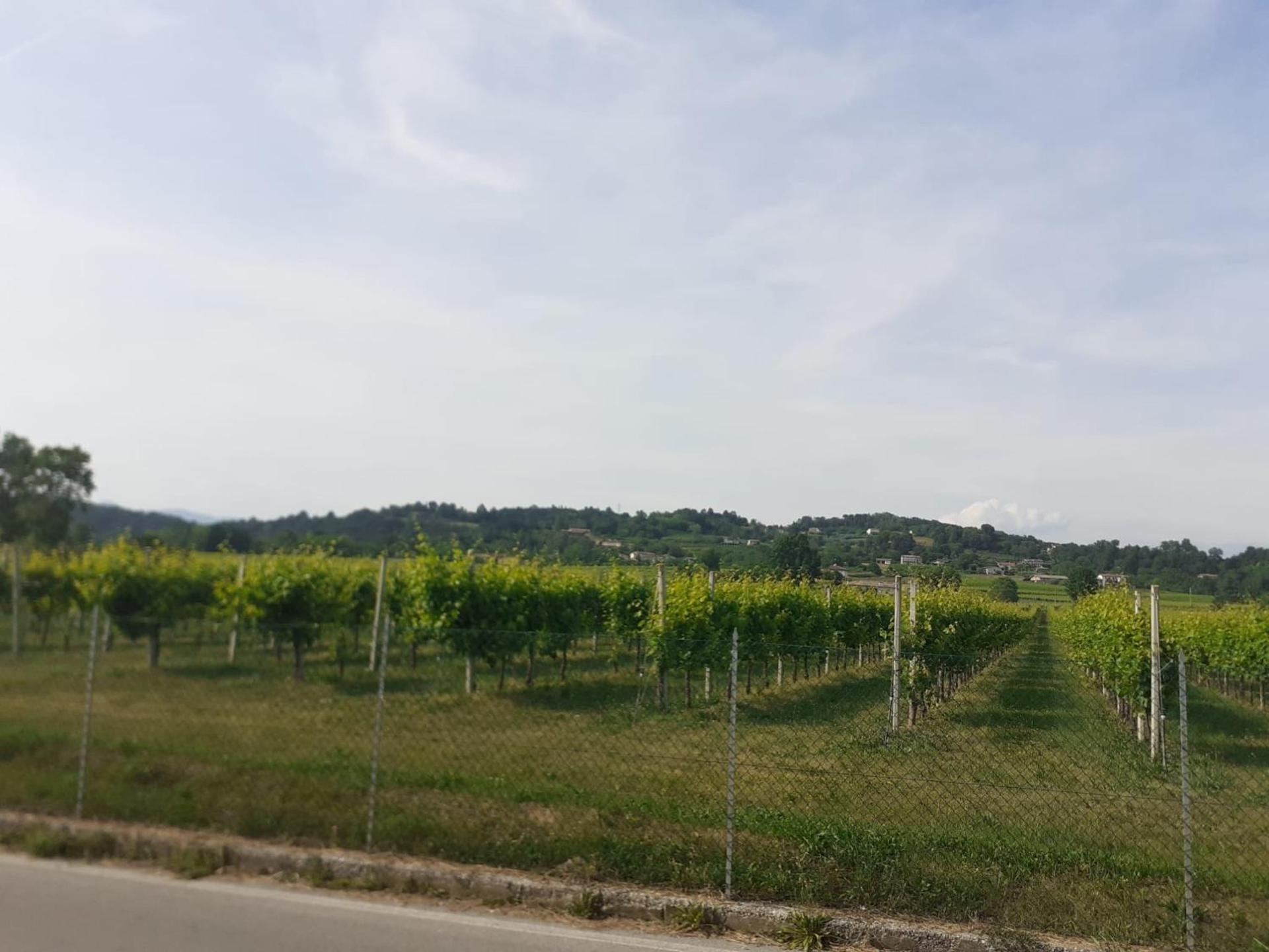 Locazione turistica da Toio