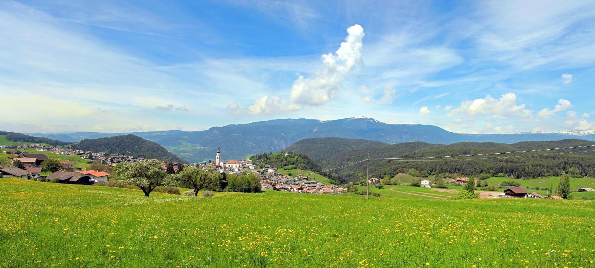 Niglutsch Apartement Schlern