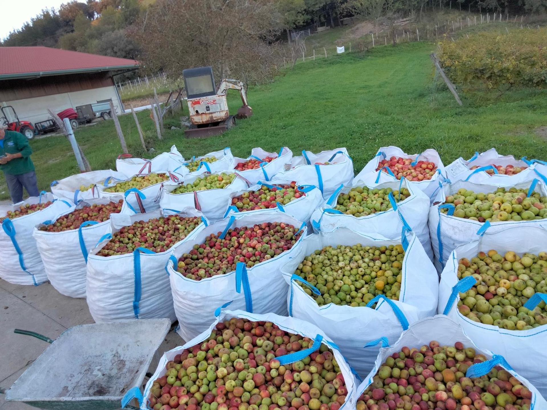 Agroturismo Erlete Goikoa -ESTAMOS EN EL CAMINO DE SANTIAGO -WE ARE ON THE CAMINO DE SANTIAGO