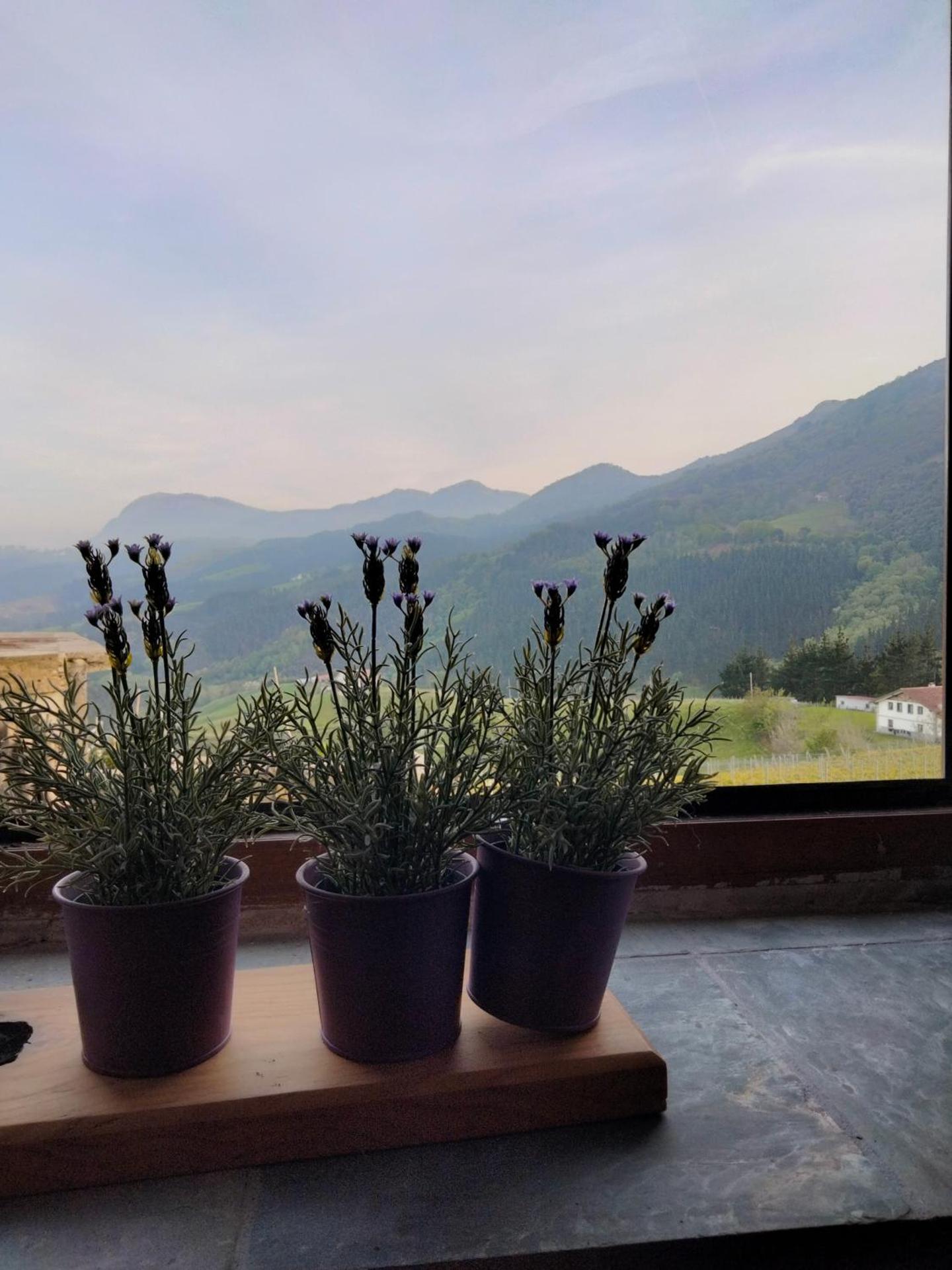 Agroturismo Erlete Goikoa -ESTAMOS EN EL CAMINO DE SANTIAGO -WE ARE ON THE CAMINO DE SANTIAGO