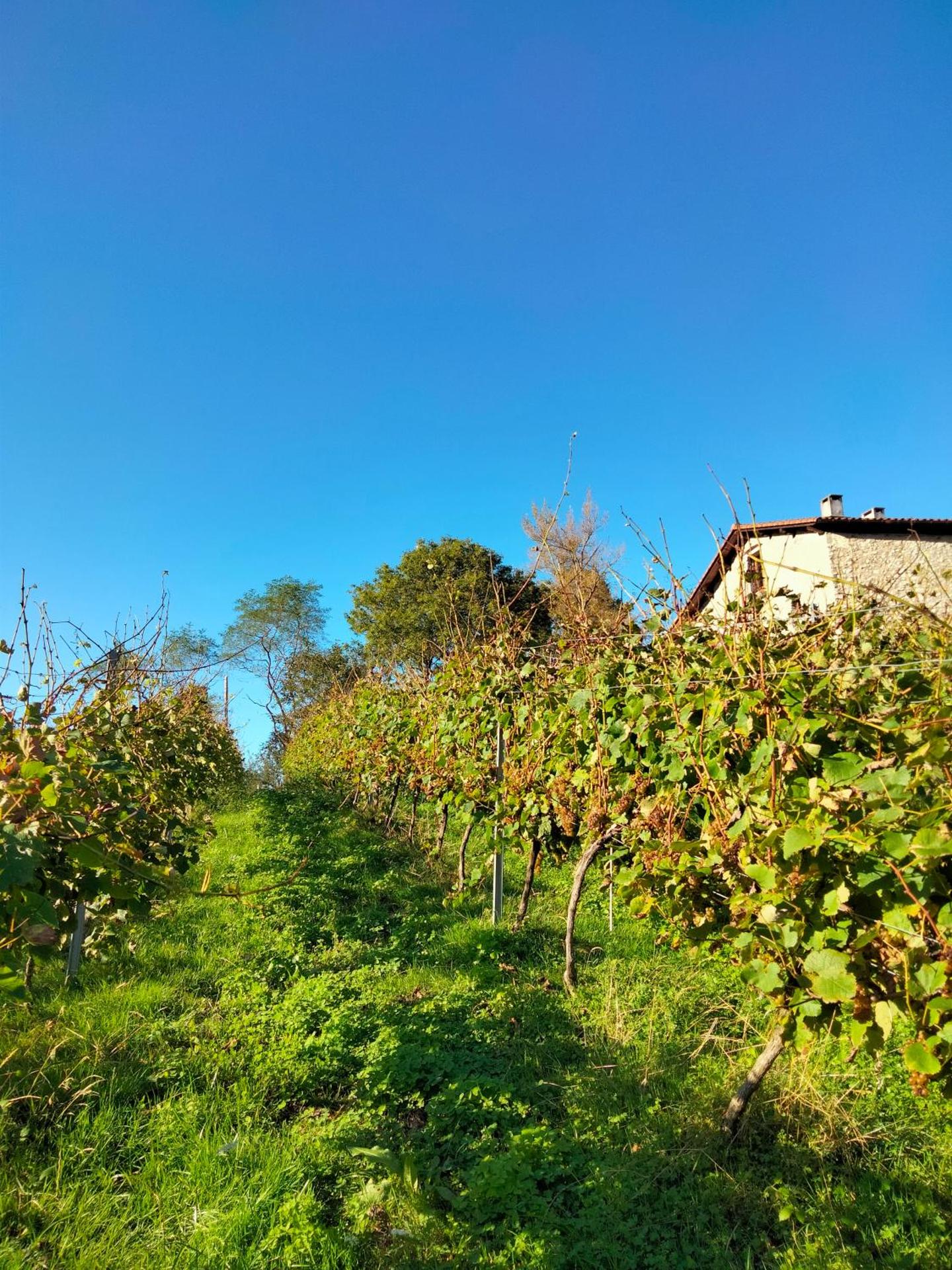 Agroturismo Erlete Goikoa -ESTAMOS EN EL CAMINO DE SANTIAGO -WE ARE ON THE CAMINO DE SANTIAGO