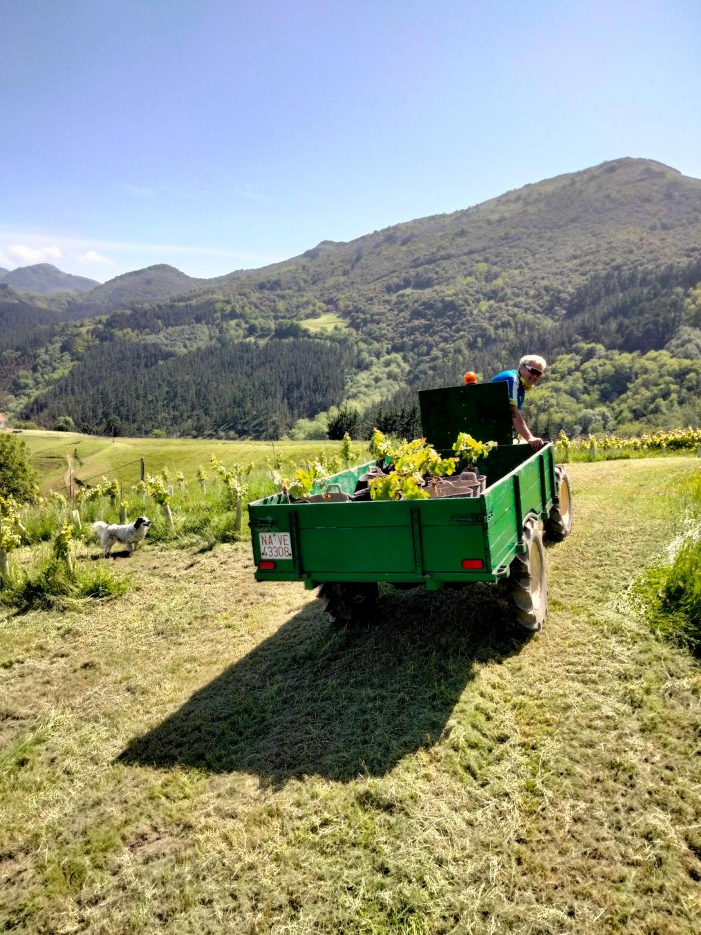 Agroturismo Erlete Goikoa -ESTAMOS EN EL CAMINO DE SANTIAGO -WE ARE ON THE CAMINO DE SANTIAGO