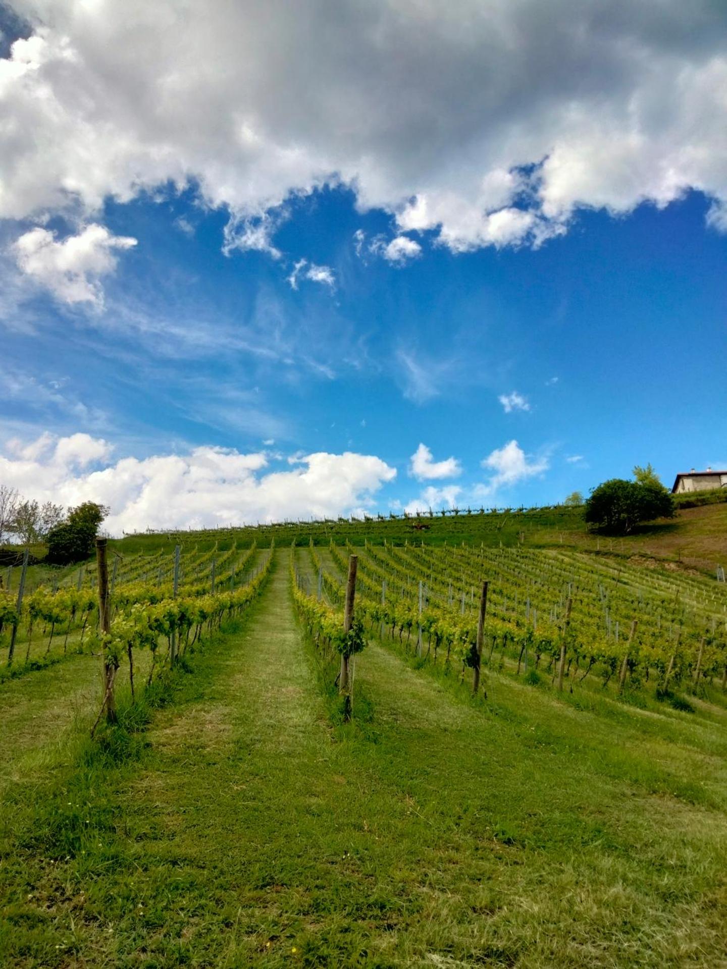 Agroturismo Erlete Goikoa -ESTAMOS EN EL CAMINO DE SANTIAGO -WE ARE ON THE CAMINO DE SANTIAGO