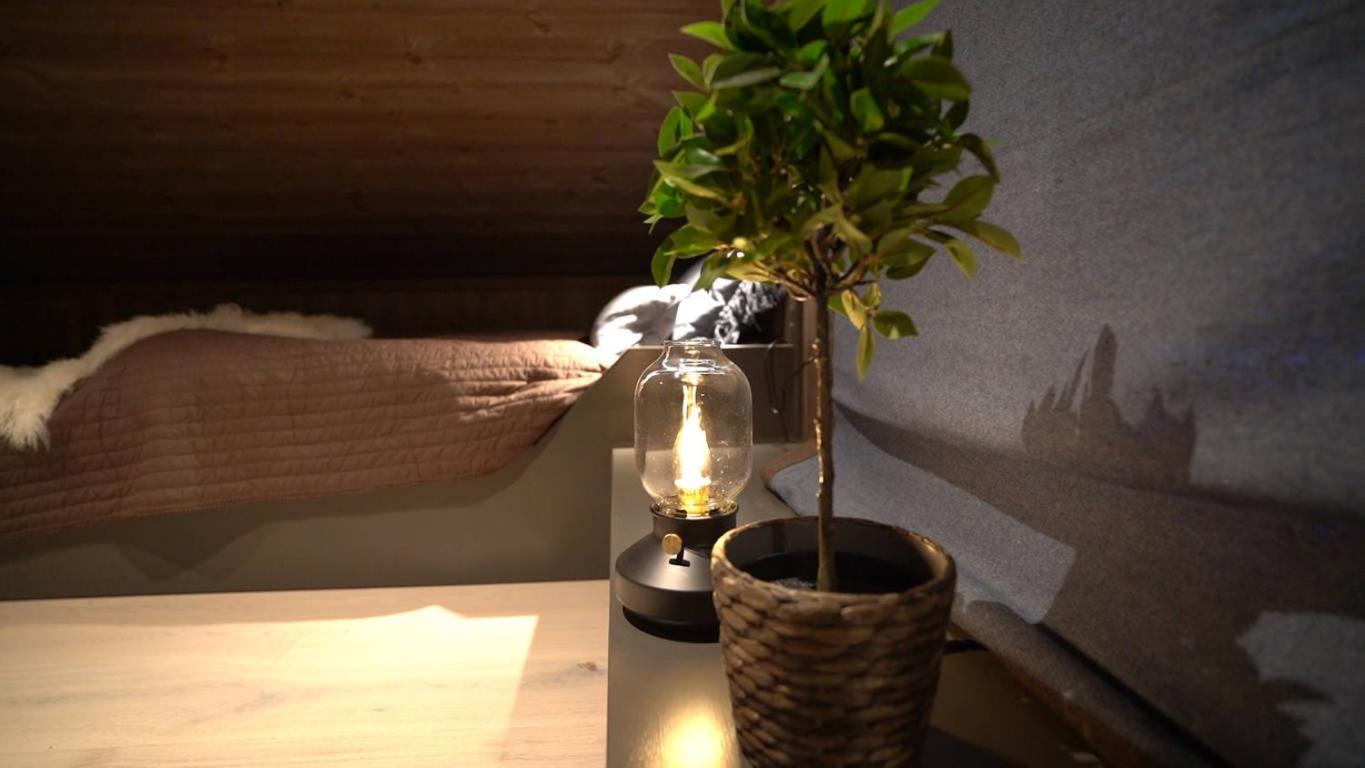 Unique cabin with fantastic lake view, sauna, ski & EV outlet