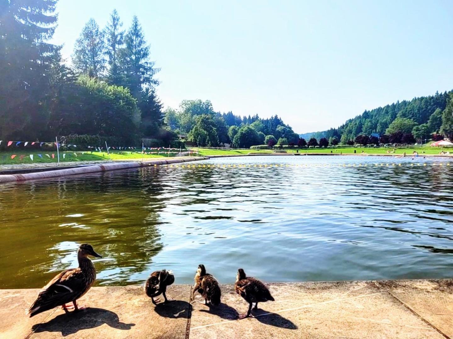 Domek całoroczny nad zalewem u podnóża Gór Stołowych