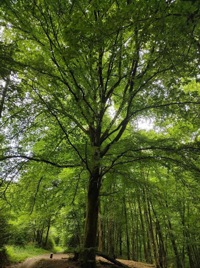 La Lisière Appartement 2 chambres