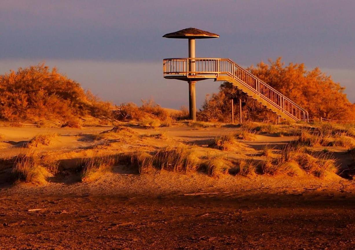 Holiday Home Paquita SB