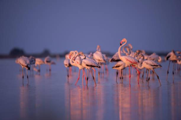 Holiday Home Paquita SB