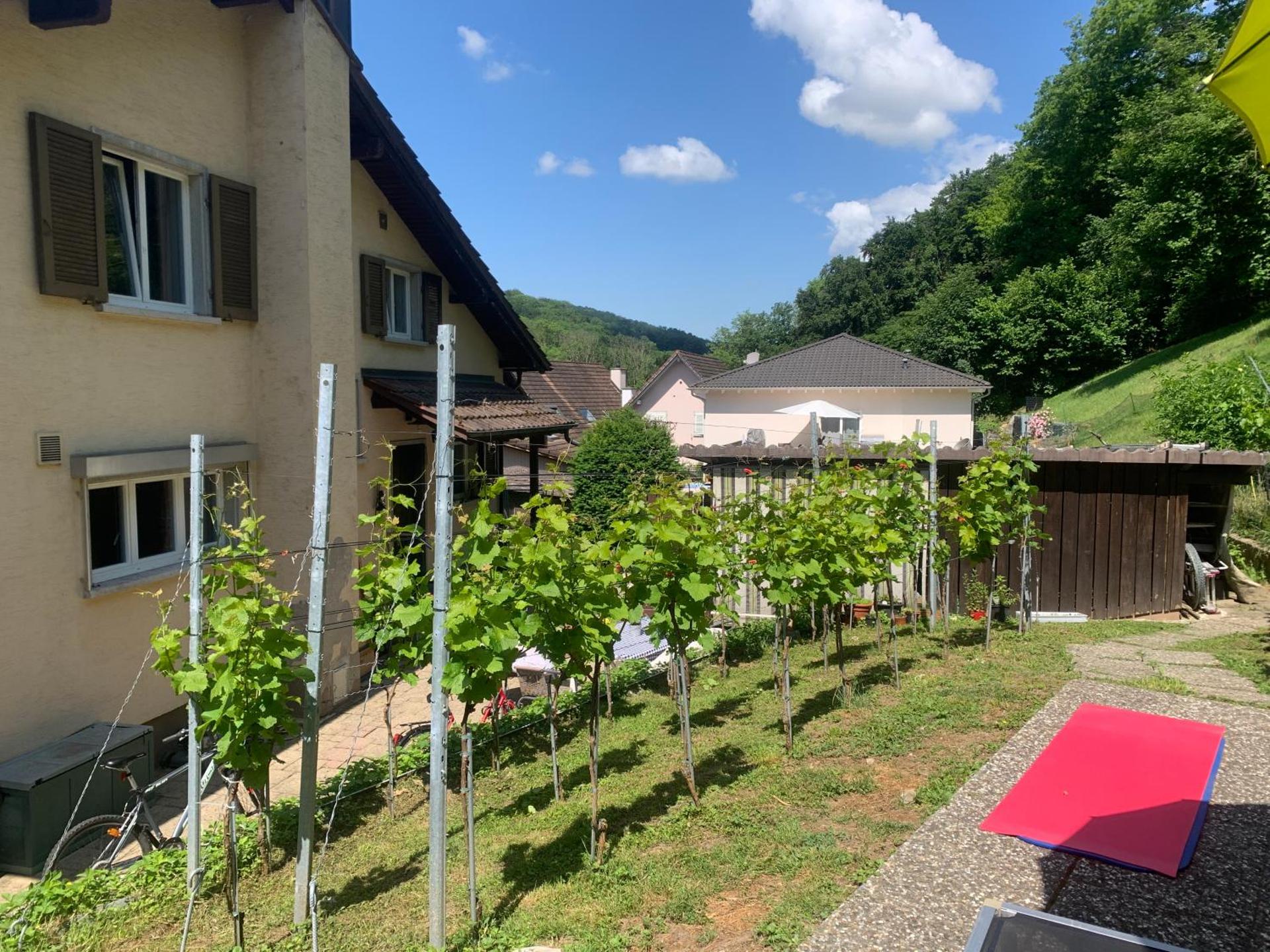 Bed n Breakfast Obermumpf