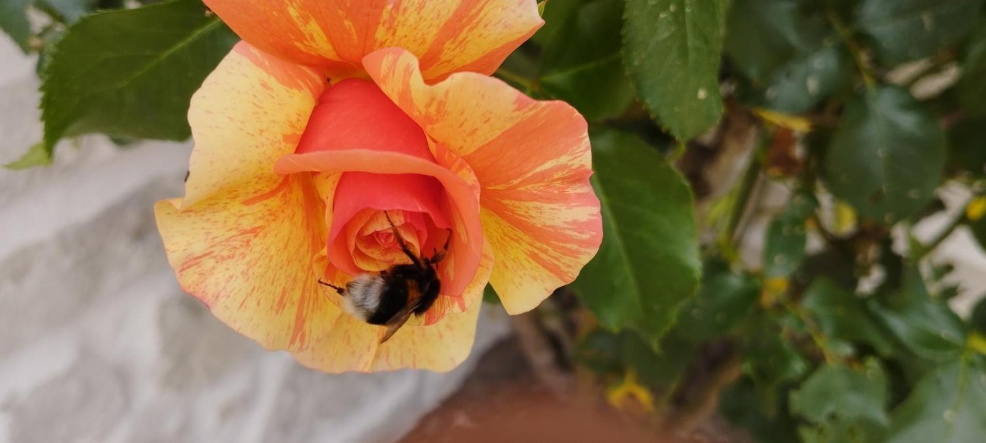 Gite en Sologne, -Châteaux de la Loire, Beauval -