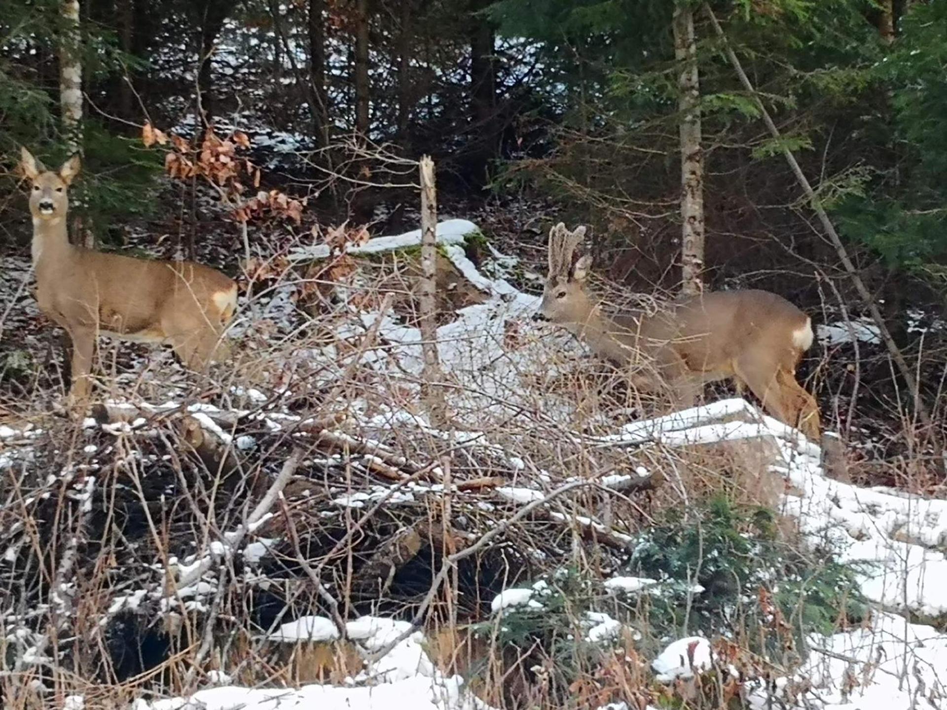Patakvölgye Vendégház
