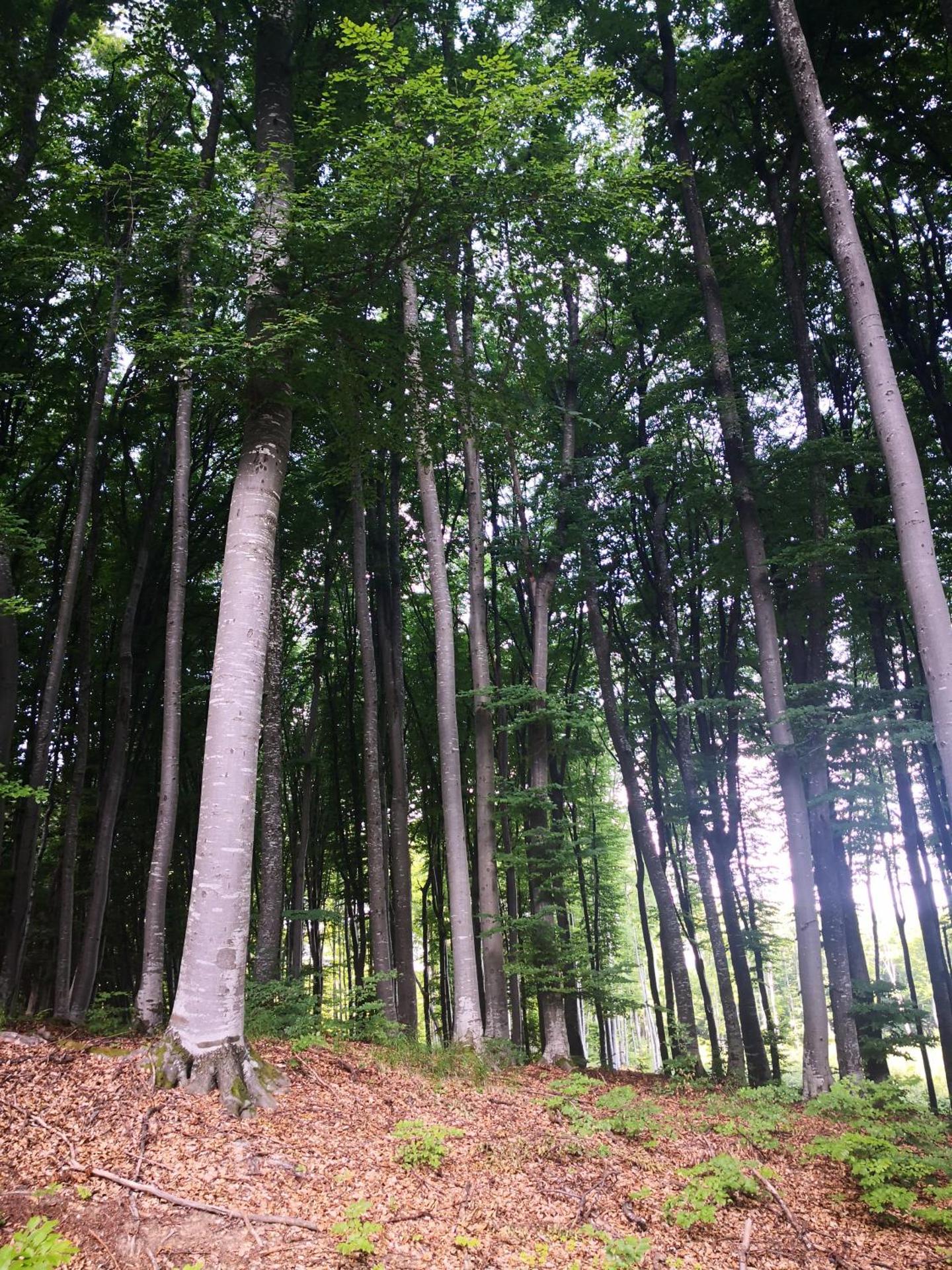 Patakvölgye Vendégház