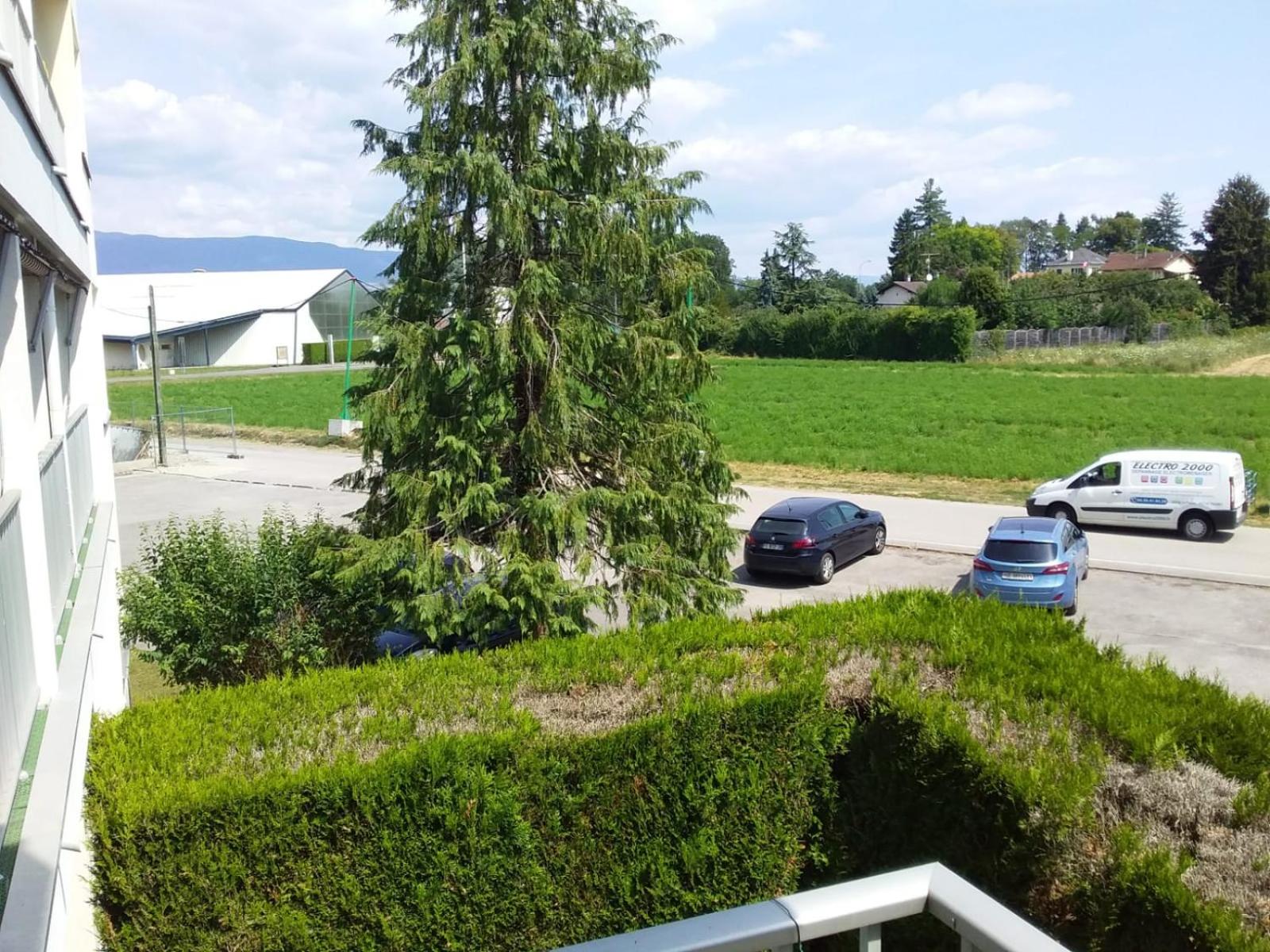 View (from property/room)