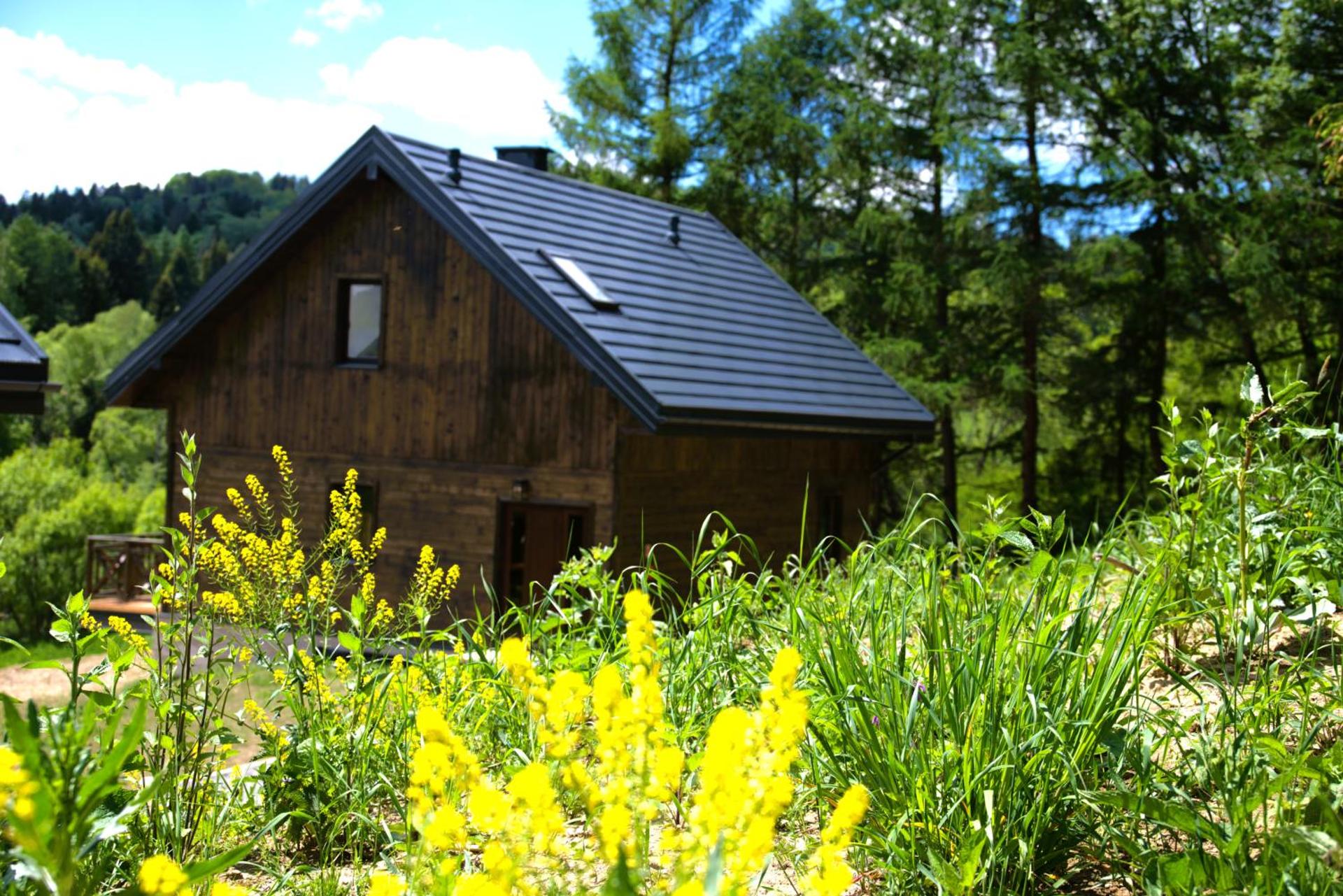 Szumny Dwór - pokoje z łazienkami