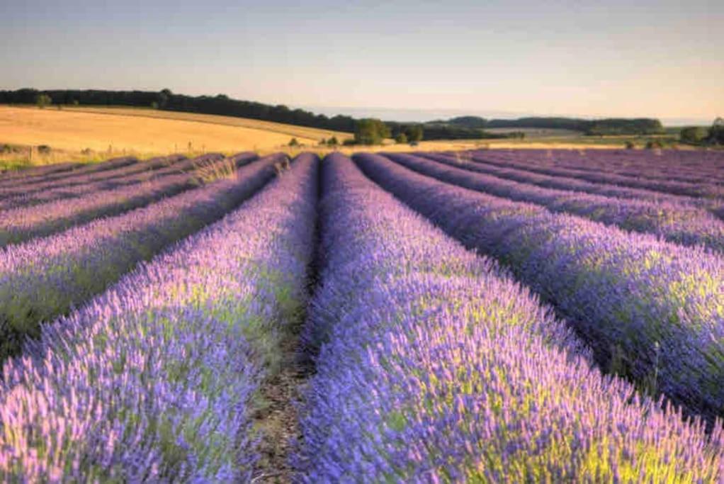 Freshly decorated 2 bedroom apartment 10 mins from Cotswolds Child Friendly Great location with plenty of nearby free parking freestanding bath and outdoor private terrace area