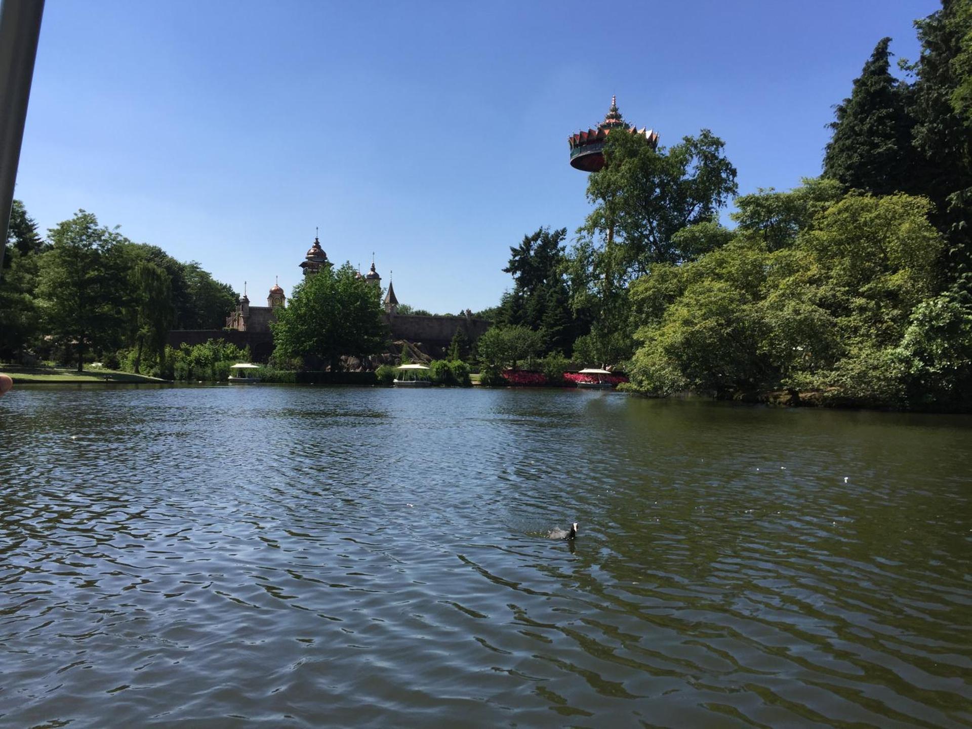 Bed and Breakfast in de buurt