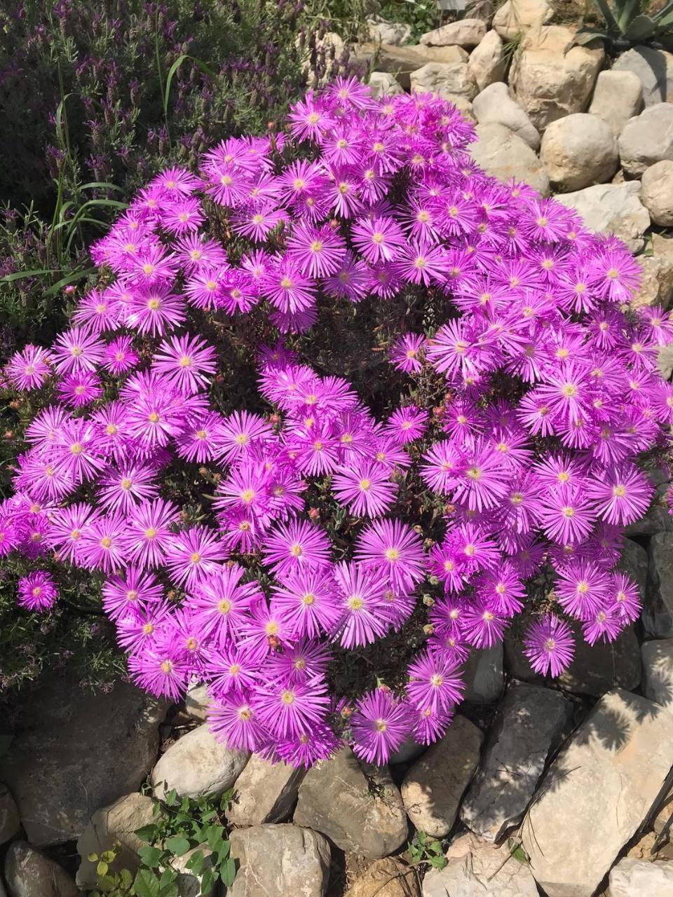 Residenza San Matteo