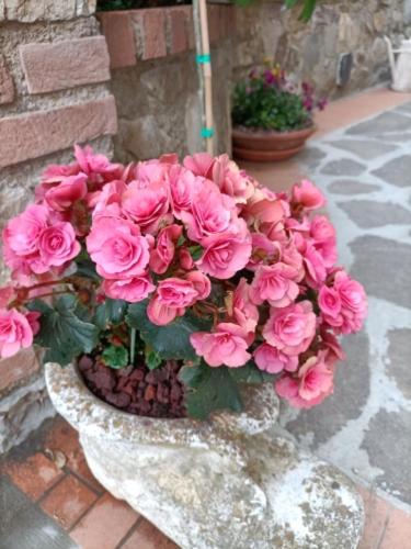 Chianti-Home Palagione