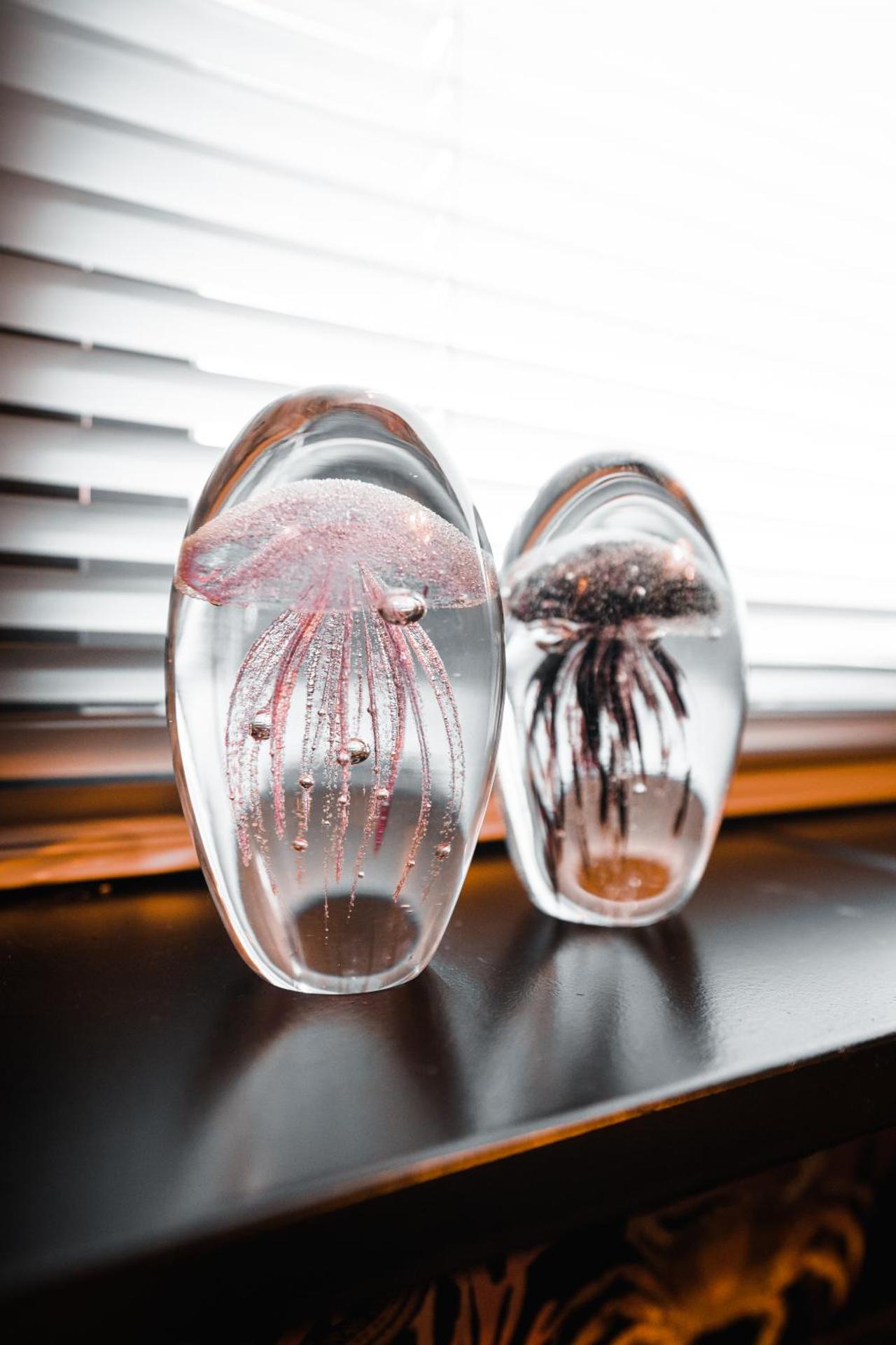 Cosy Aquarium for a couple or friends