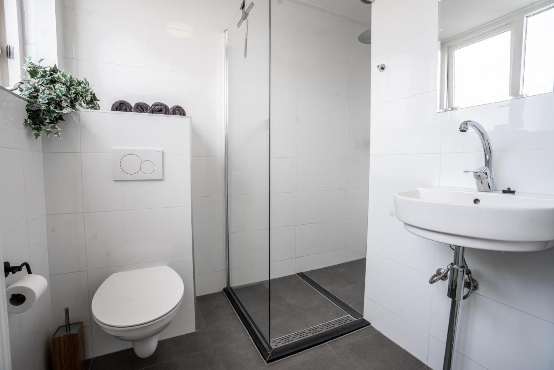 The Jungle - duo studio with kingsize terrace