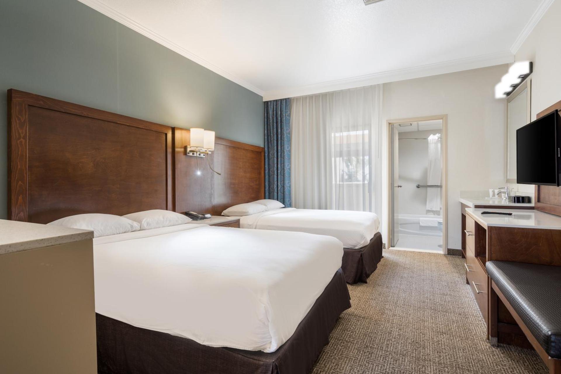 Premium Studio Suite with Two Double Beds - Non-Smoking