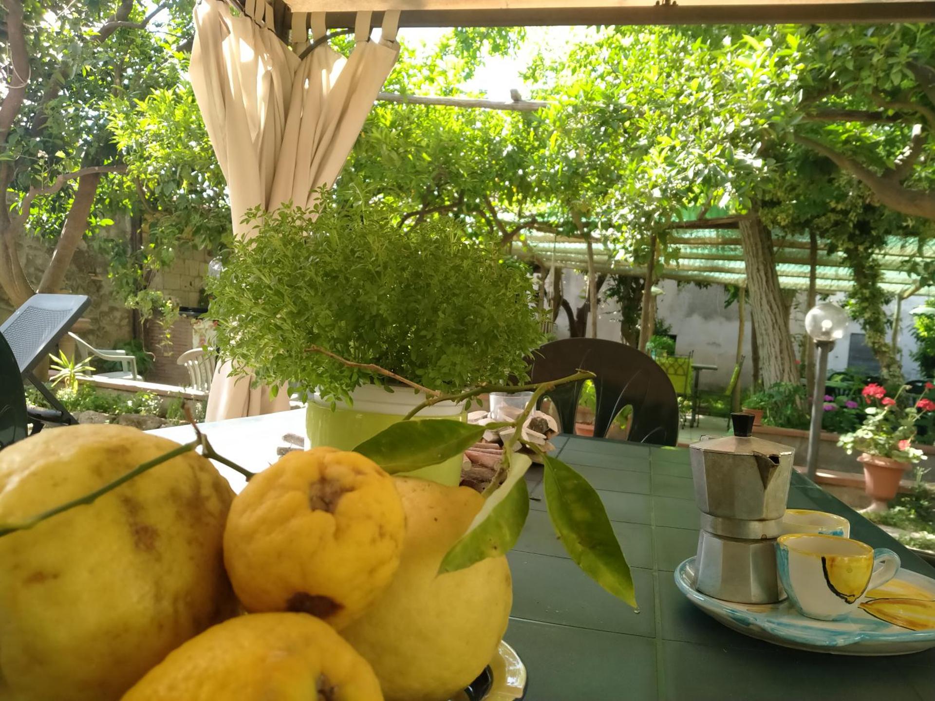 Villino L'Aranceto Sorrentino