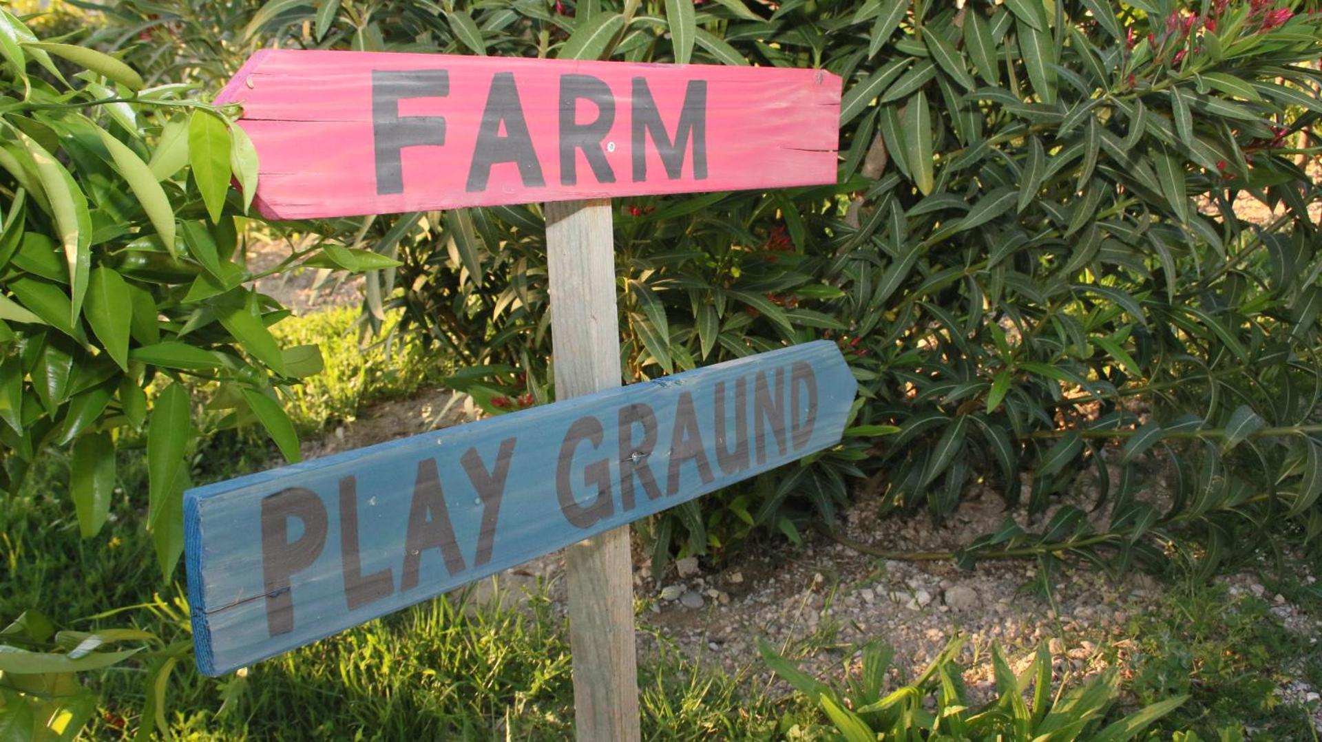 Logo/Certificate/Sign