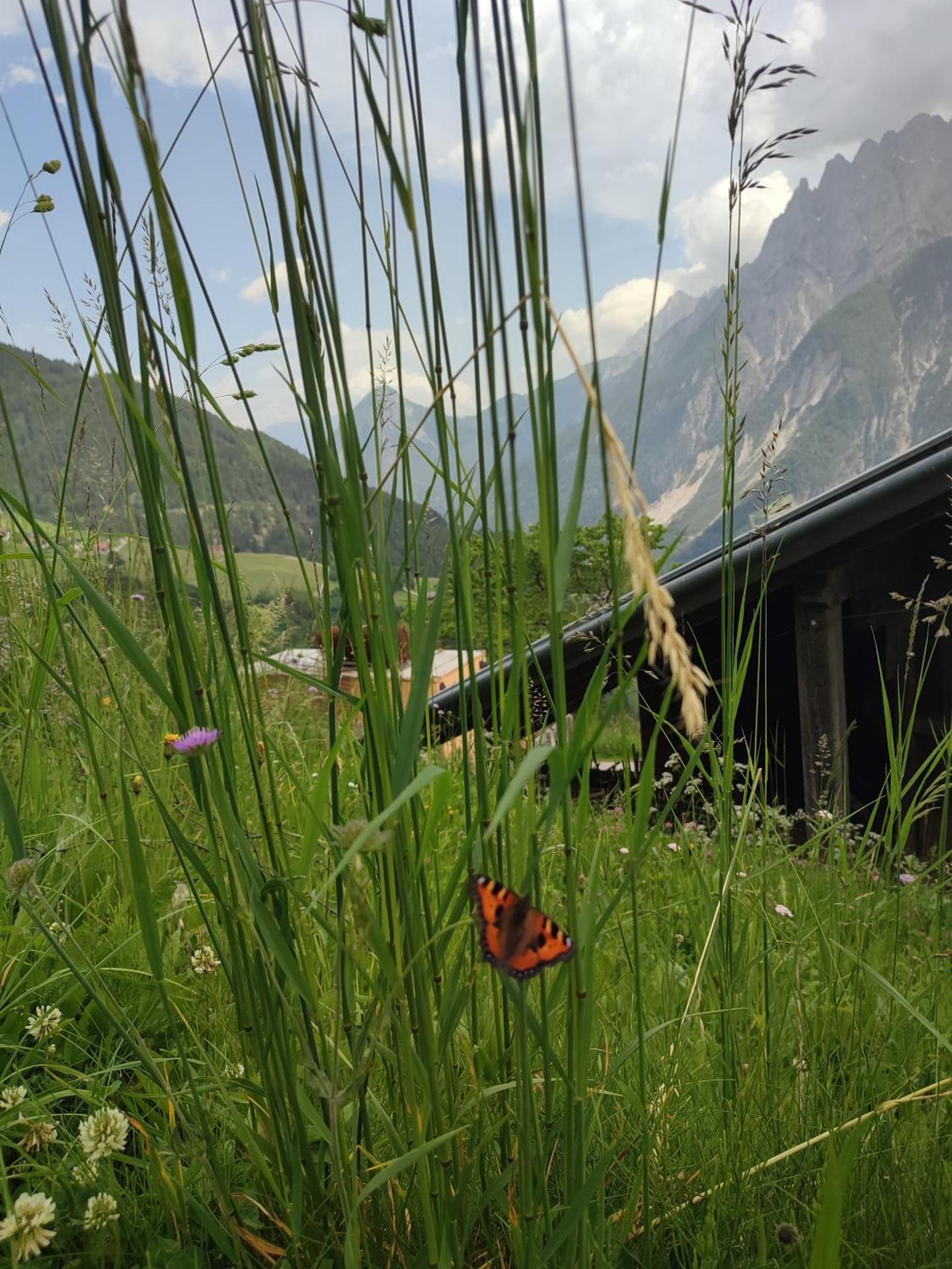 Appartements Obergollerhof